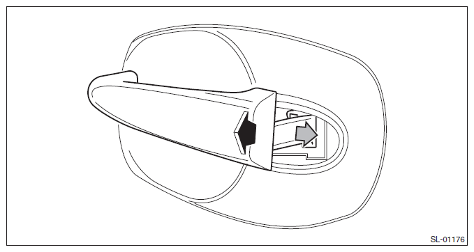 G11582853