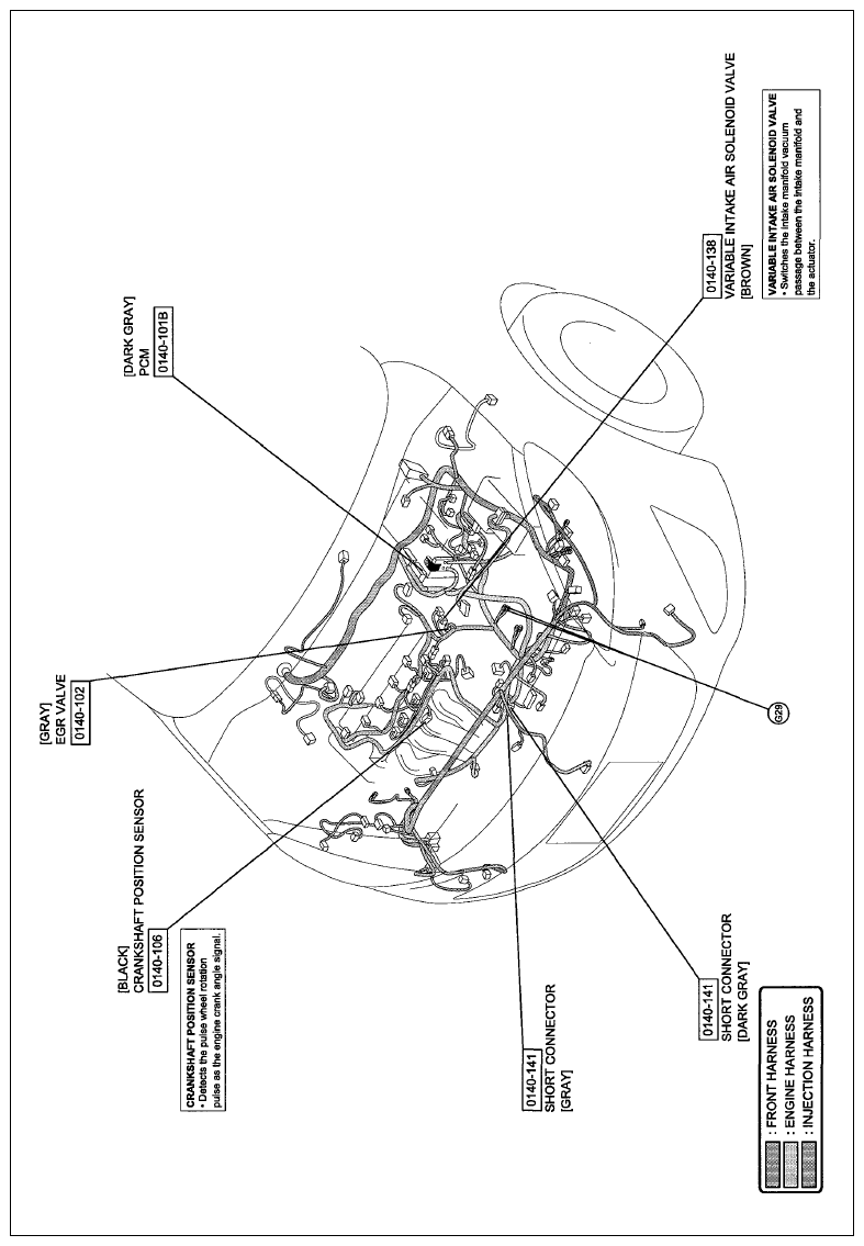 G11603261