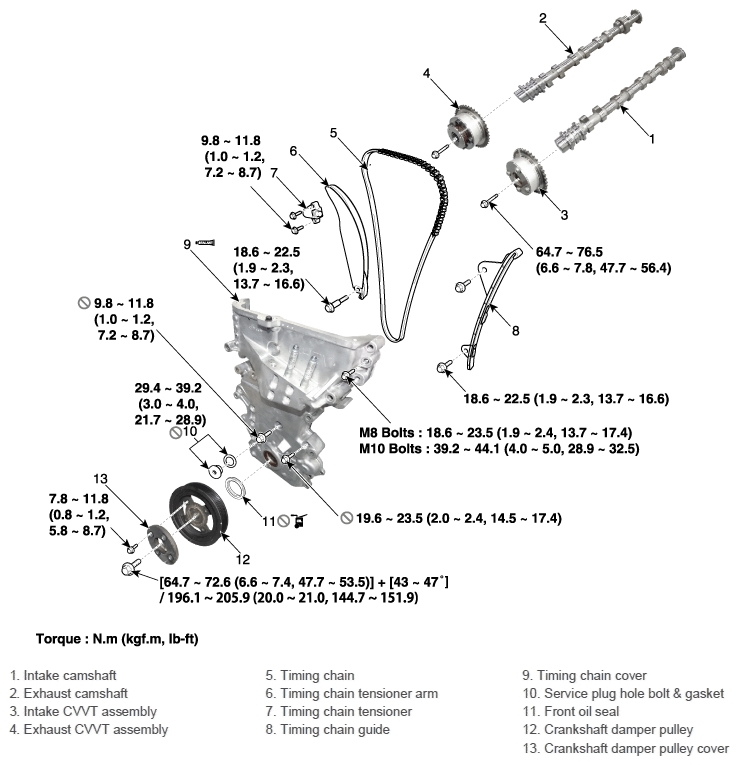 G11630386