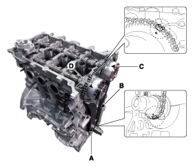 G11630431