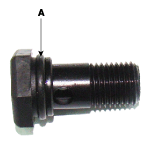 G11631204