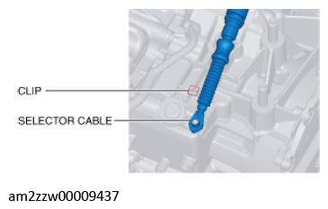 G11637719