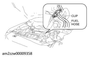 G11637721