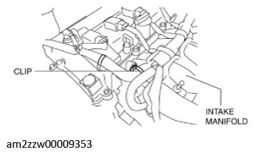 G11637722