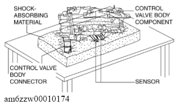 G11637729