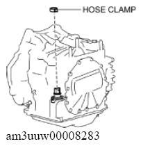 G11637731