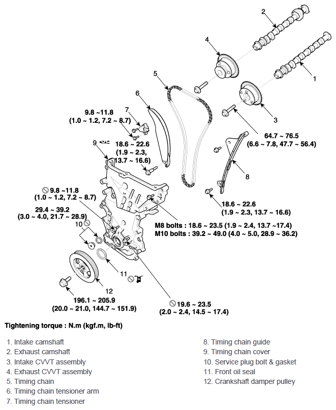 G11643126