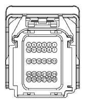 G11680254