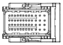 G11680258