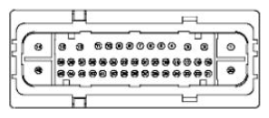 G11681620