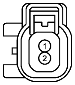 G11681633