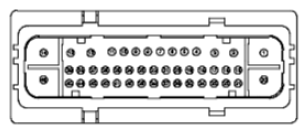 G11681736
