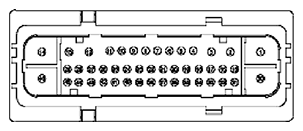 G11681983