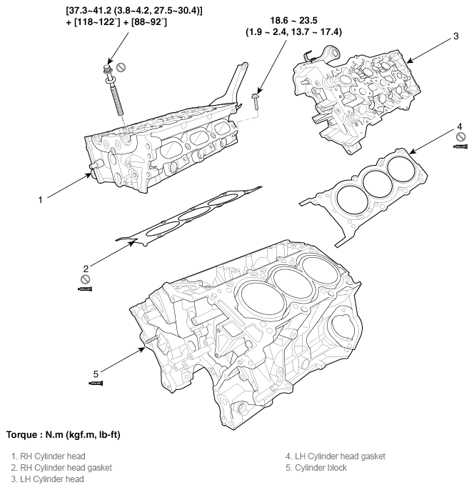 G11783565