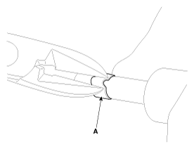 G11784092