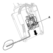 G11793991