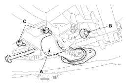 G11794040