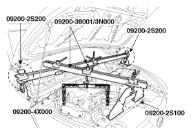 G11795078