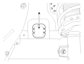 G11795080