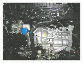 G11795082