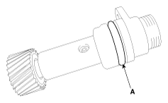 G11795098