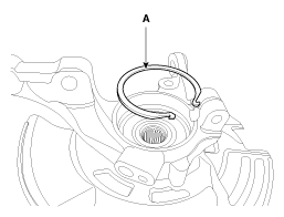G11795363