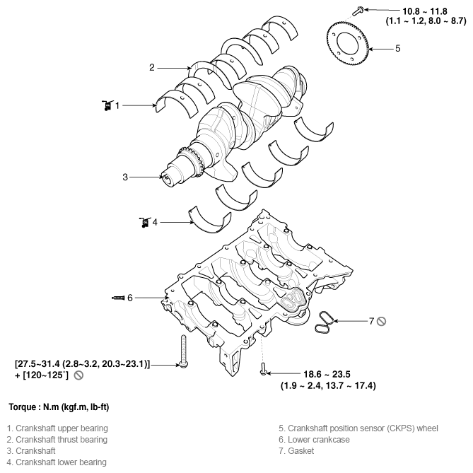 G11796638