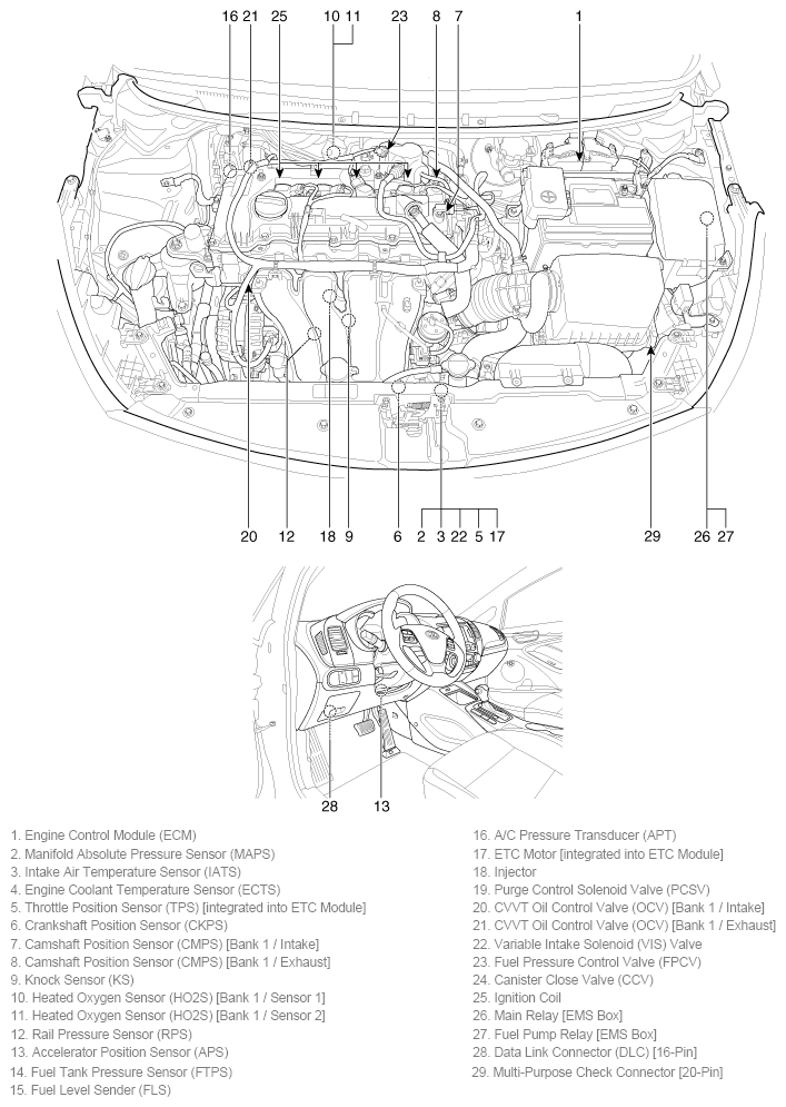 G11796882