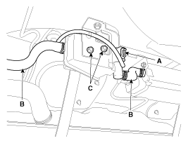 G11797005