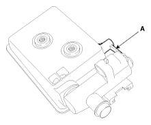 G11797006