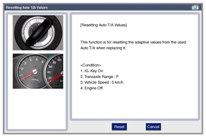 G11797204