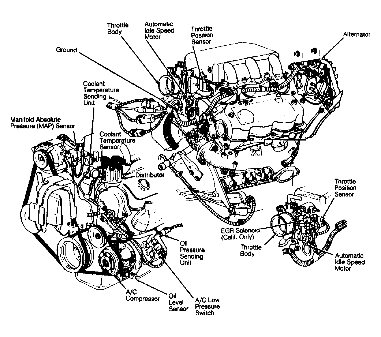 G118019
