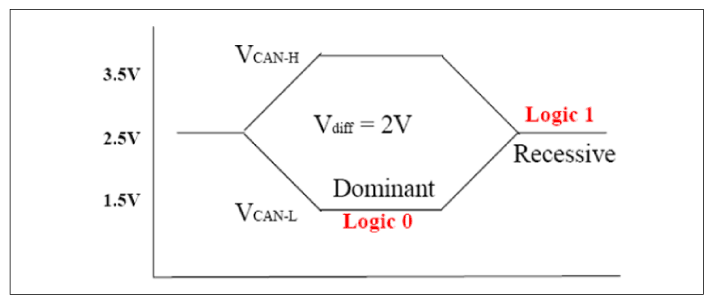 G11813557