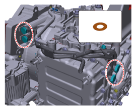 G11816088