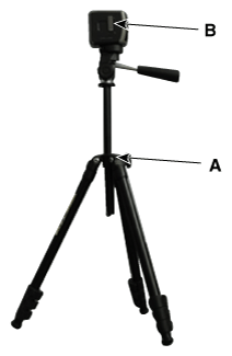G11823175
