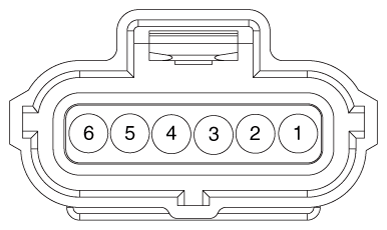 G11823496