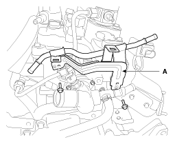 G11844599