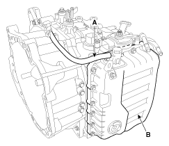 G11845547