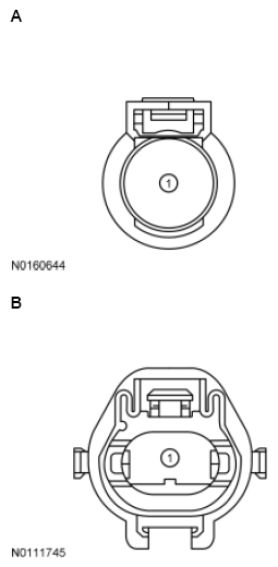 G11852752