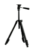 G11856397