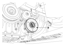 G11863393