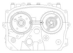 G11865352