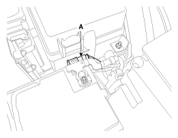 G11865426