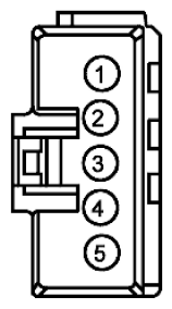 G11915487