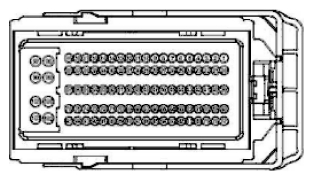G11915530