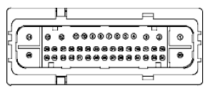 G11915561