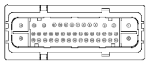 G11915984