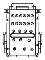G11916153