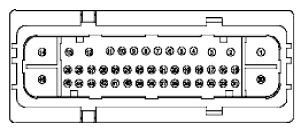 G11916161