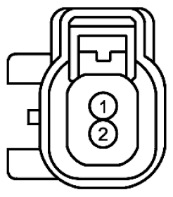 G11916196